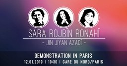 Großdemonstration in Paris