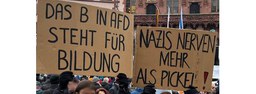 Massendemonstrationen gegen die AfD in Deutschland